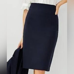 Ann taylor skirt